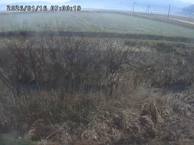 朝鍋川１2026/01/16 17:30:00