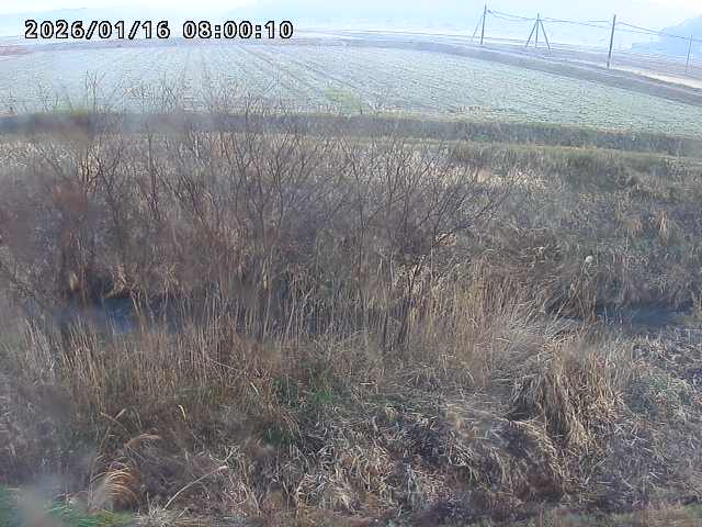 朝鍋川１2026/01/16 17:30:00