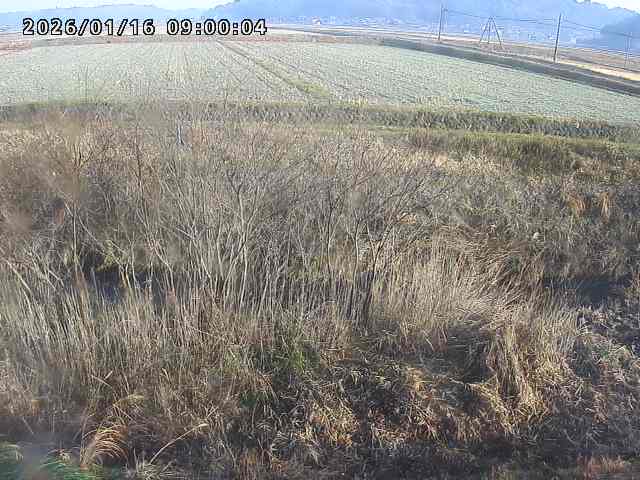 朝鍋川１2026/01/16 17:30:00