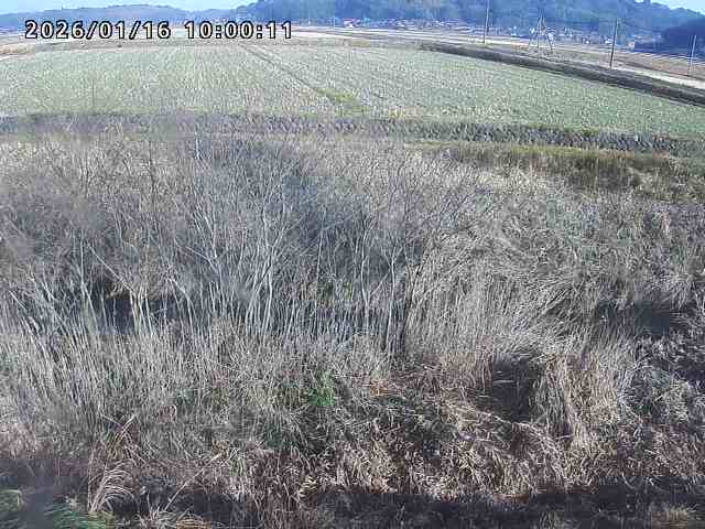 朝鍋川１2026/01/16 17:30:00
