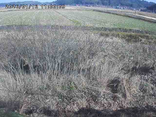 朝鍋川１2026/01/16 17:30:00