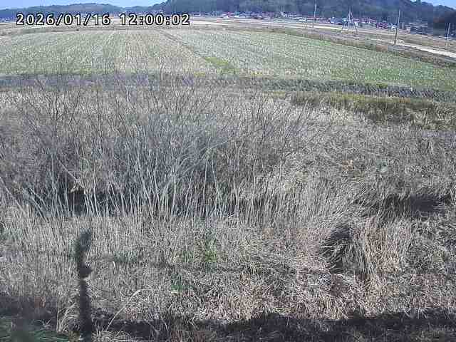 朝鍋川１2026/01/16 17:30:00