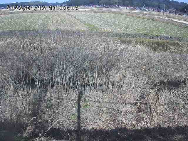朝鍋川１2026/01/16 17:30:00