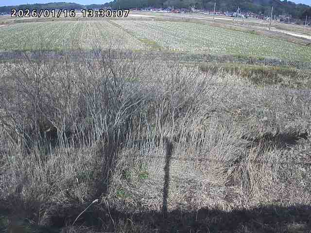 朝鍋川１2026/01/16 17:30:00