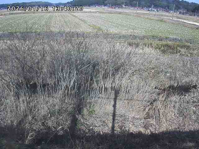 朝鍋川１2026/01/16 17:30:00