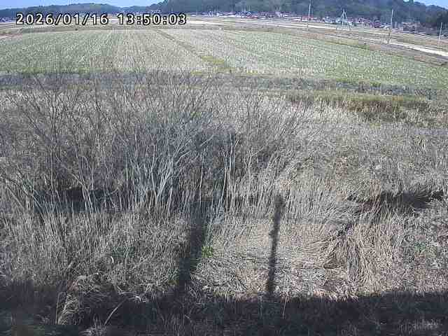 朝鍋川１2026/01/16 17:30:00