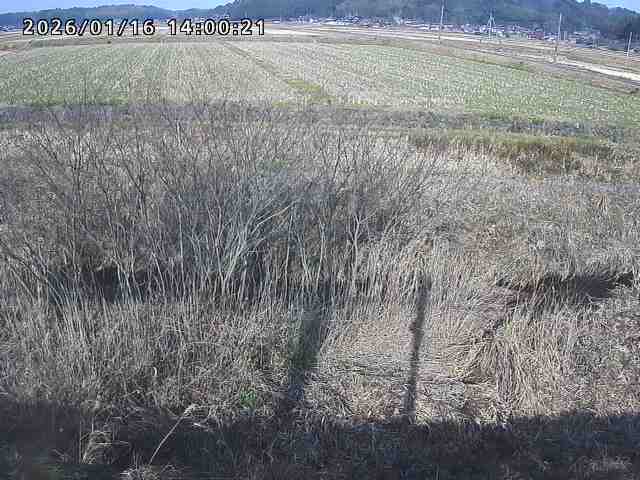 朝鍋川１2026/01/16 17:30:00