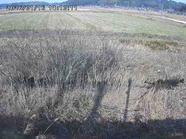 朝鍋川１2026/01/16 17:30:00