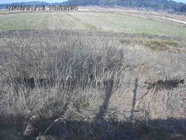 朝鍋川１2026/01/16 17:30:00