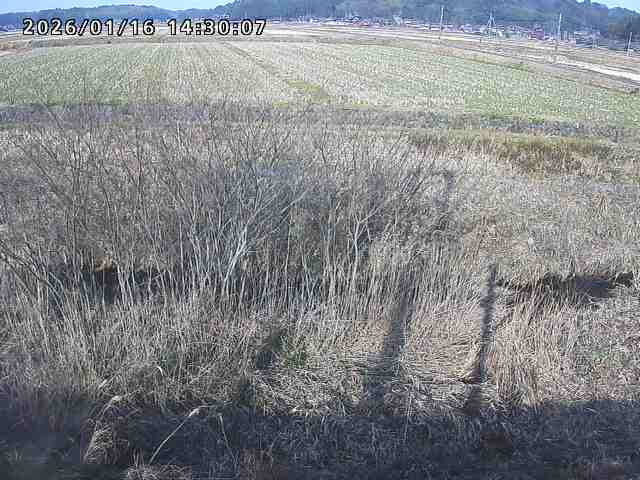 朝鍋川１2026/01/16 17:30:00