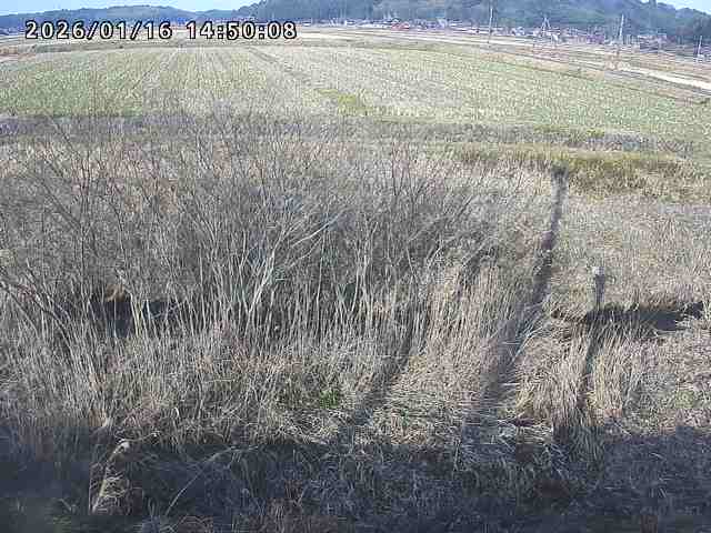 朝鍋川１2026/01/16 17:30:00