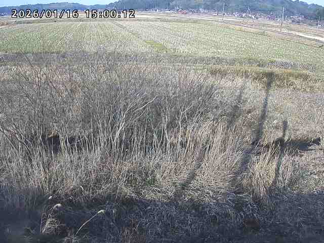 朝鍋川１2026/01/16 17:30:00