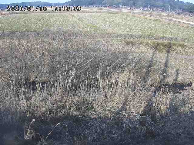 朝鍋川１2026/01/16 17:30:00