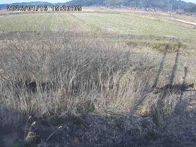 朝鍋川１2026/01/16 17:30:00