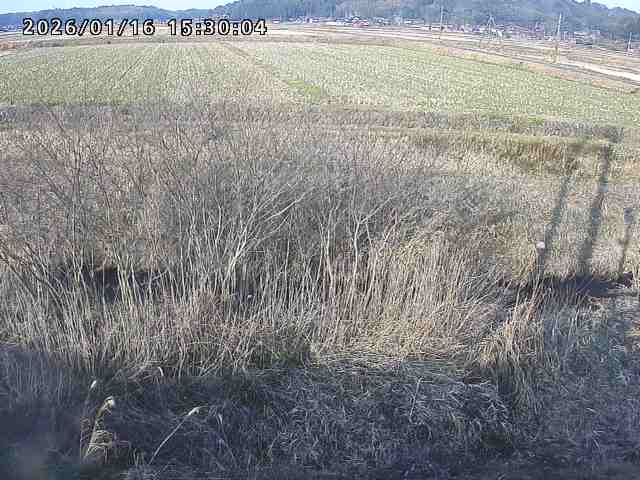 朝鍋川１2026/01/16 17:30:00