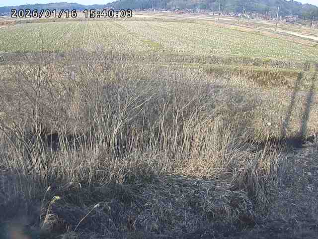 朝鍋川１2026/01/16 17:30:00