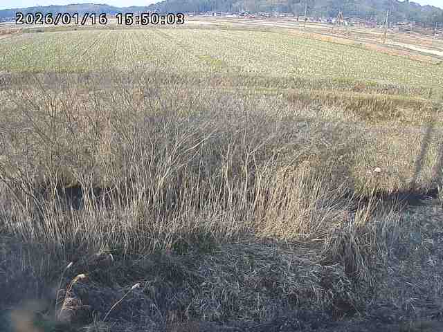 朝鍋川１2026/01/16 17:30:00