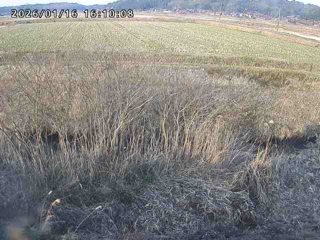 朝鍋川１2026/01/16 17:30:00