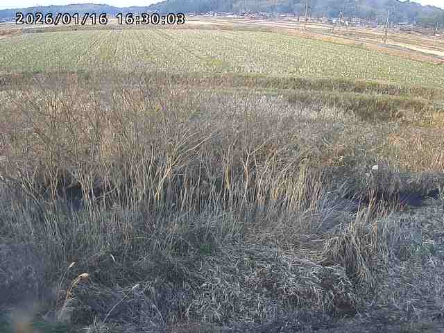 朝鍋川１2026/01/16 17:30:00