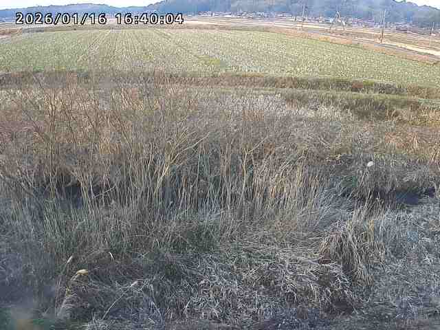 朝鍋川１2026/01/16 17:30:00