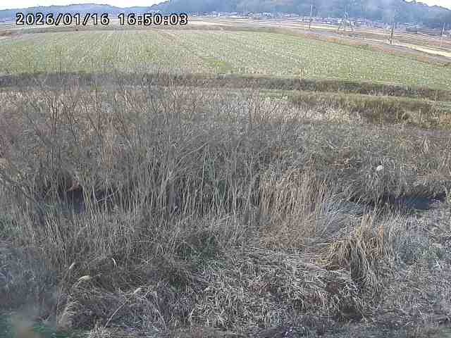 朝鍋川１2026/01/16 17:30:00