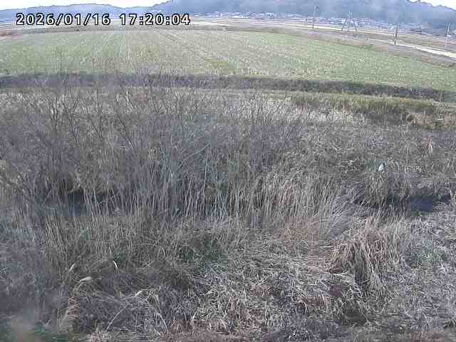 朝鍋川１2026/01/16 17:30:00