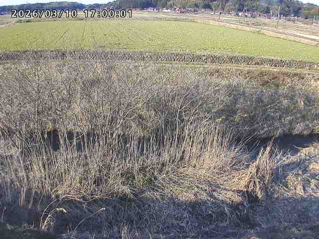 朝鍋川１2026/03/11 16:10:00