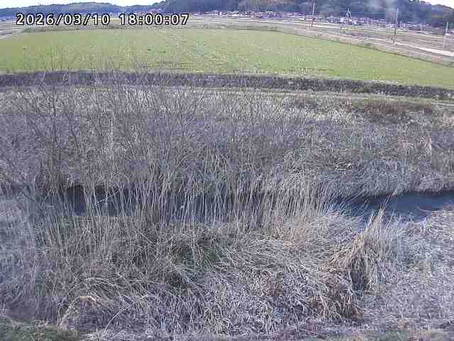 朝鍋川１2026/03/11 16:10:00