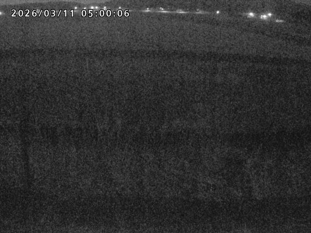 朝鍋川１2026/03/11 16:10:00