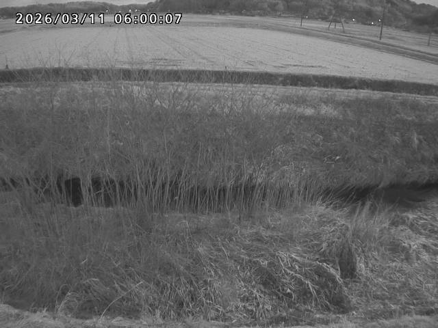 朝鍋川１2026/03/11 16:10:00