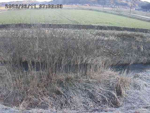 朝鍋川１2026/03/11 16:10:00