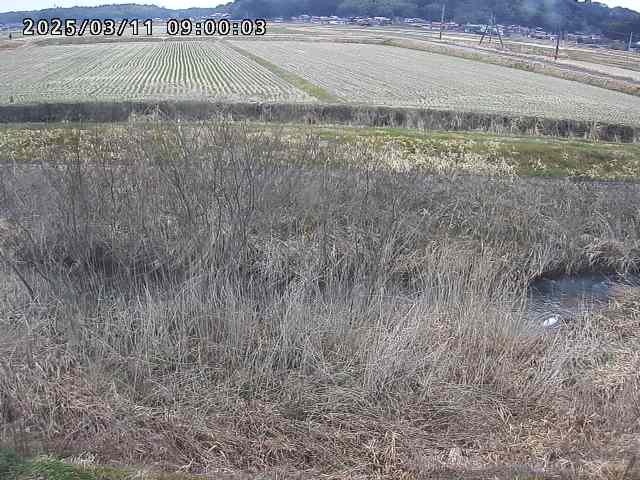 朝鍋川１2026/03/11 16:10:00
