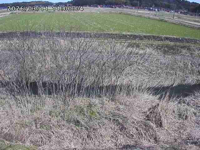 朝鍋川１2026/03/11 16:10:00