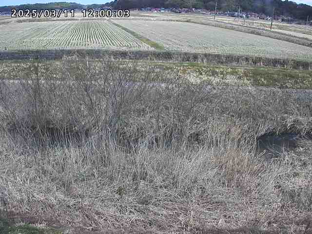 朝鍋川１2026/03/11 16:10:00