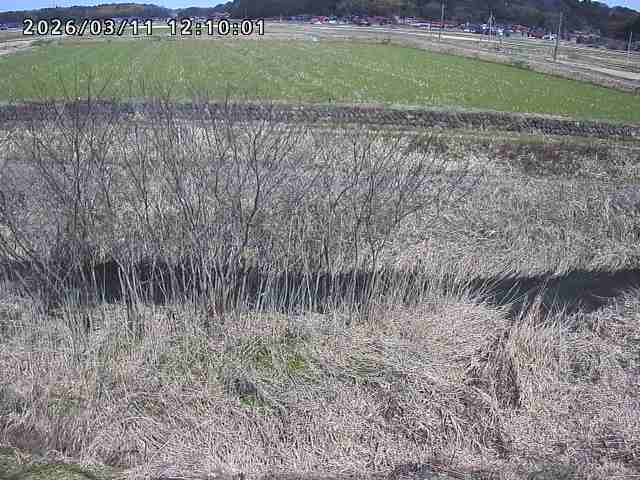 朝鍋川１2026/03/11 16:10:00