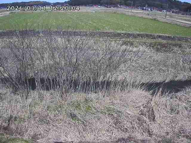 朝鍋川１2026/03/11 16:10:00