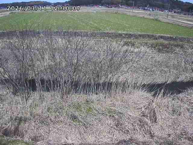 朝鍋川１2026/03/11 16:10:00