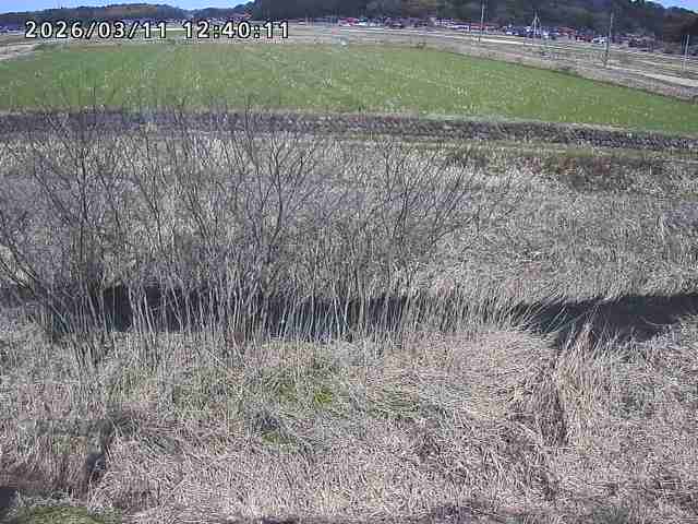 朝鍋川１2026/03/11 16:10:00