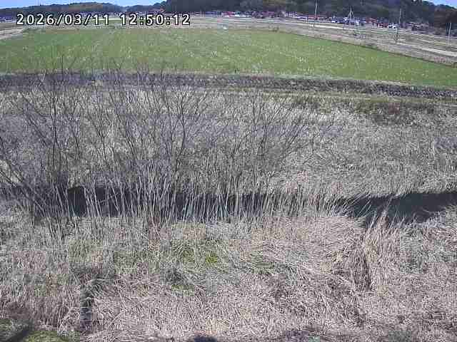 朝鍋川１2026/03/11 16:10:00