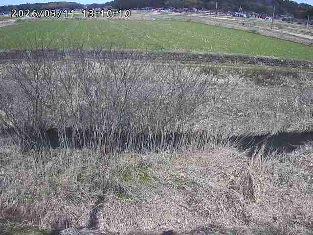 朝鍋川１2026/03/11 16:10:00