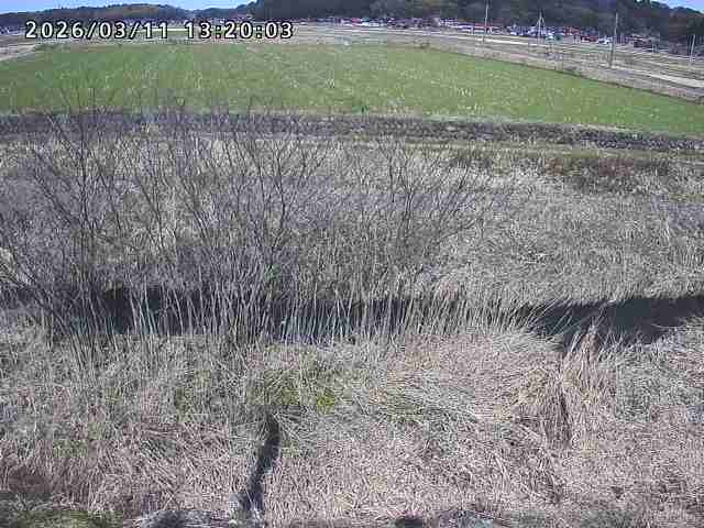 朝鍋川１2026/03/11 16:10:00