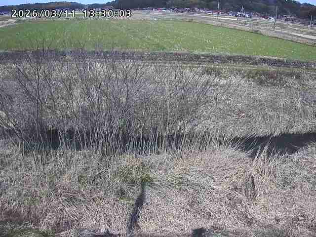 朝鍋川１2026/03/11 16:10:00