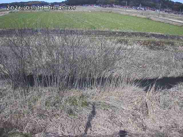 朝鍋川１2026/03/11 16:10:00
