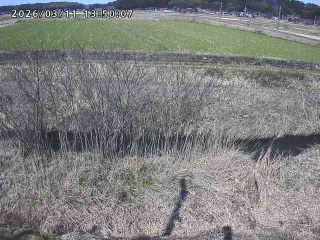 朝鍋川１2026/03/11 16:10:00