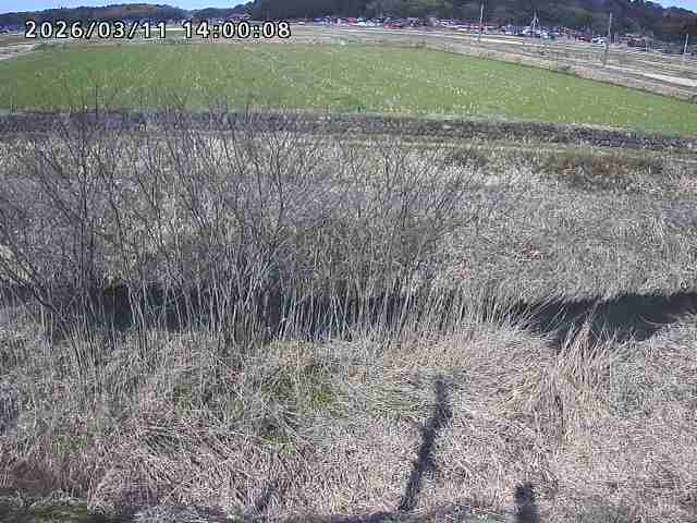 朝鍋川１2026/03/11 16:10:00