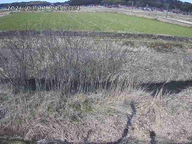 朝鍋川１2026/03/11 16:10:00