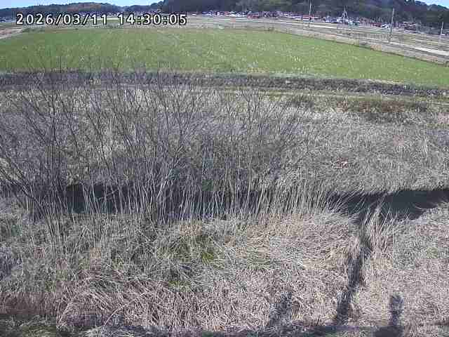 朝鍋川１2026/03/11 16:10:00