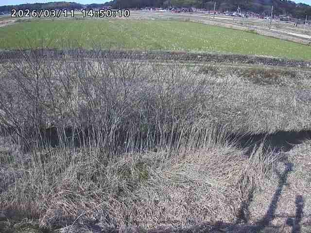 朝鍋川１2026/03/11 16:10:00