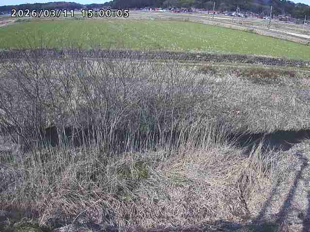 朝鍋川１2026/03/11 16:10:00