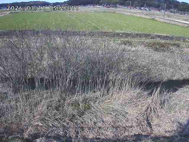 朝鍋川１2026/03/11 16:10:00